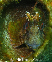 Xatt L'ahmar, Gozo, Malta by Michael Zarb 